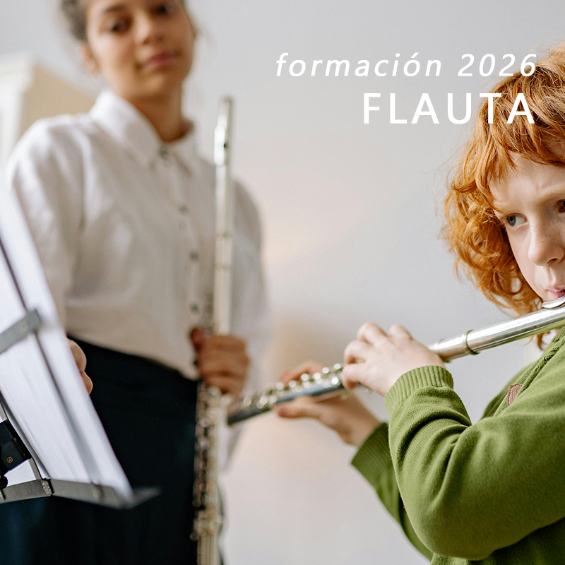 Formación de Profesores: Flauta Suzuki - 2026